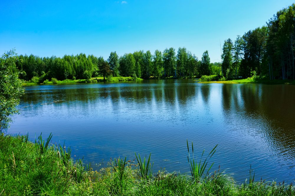 Photograph by Владимир Афанасьев