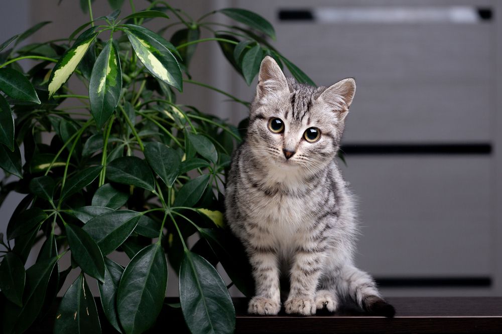 Photograph by Штефаньо Сергей