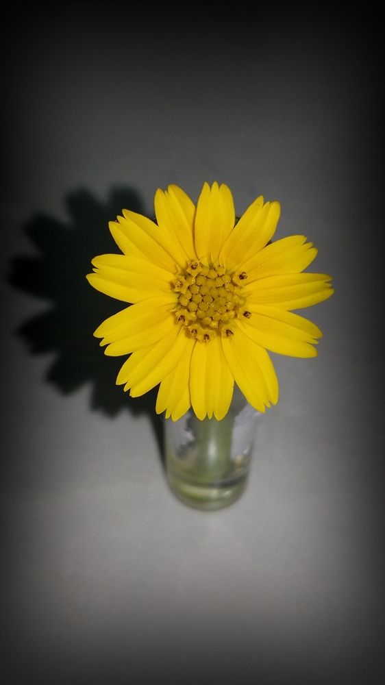 Photo #6172119