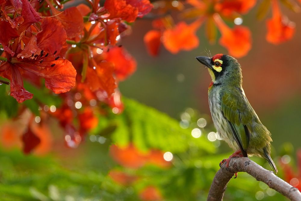 Photograph by Yuwaraj Gurjar