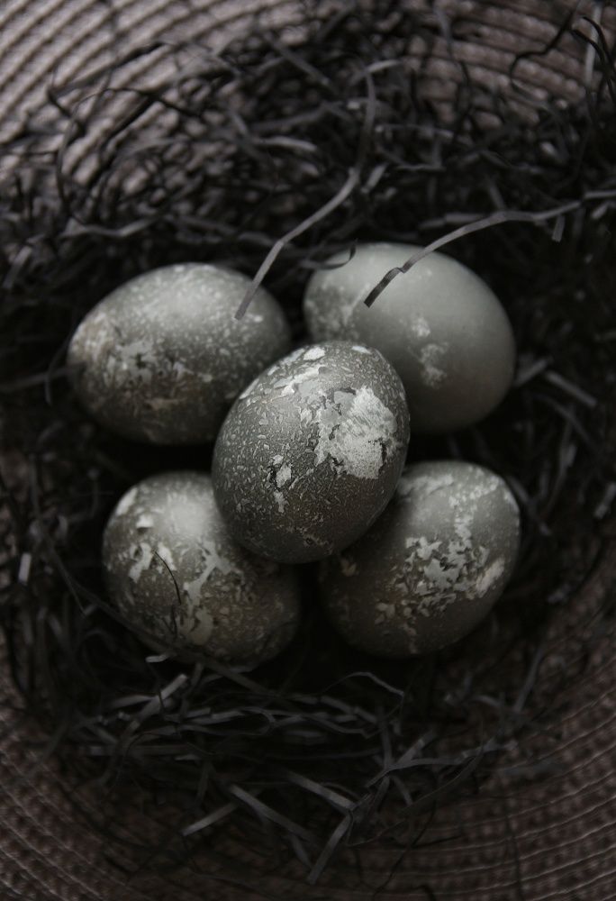 Photograph by Алёна Куклина