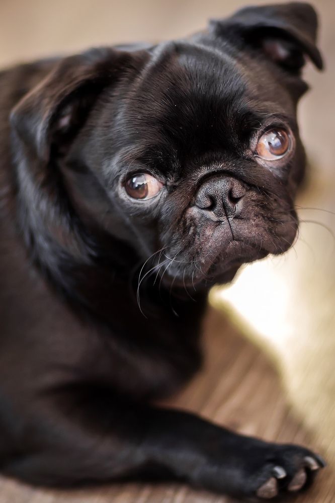 Photograph by Владимир Салапонов