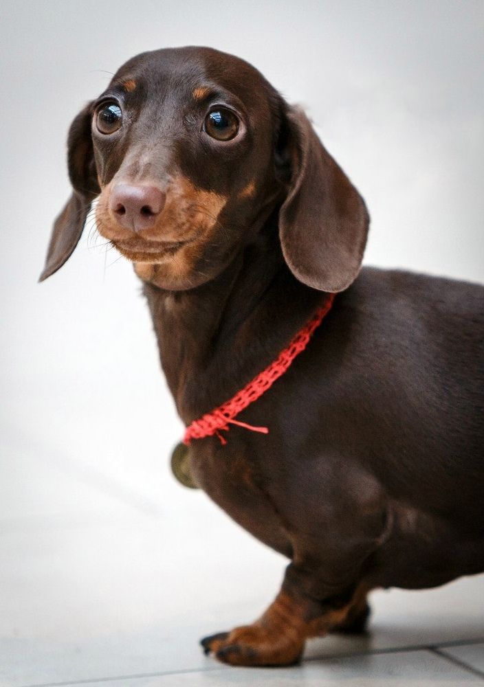 Photograph by Владимир Салапонов