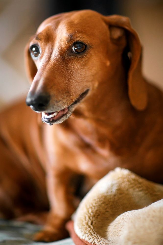 Photograph by Владимир Салапонов