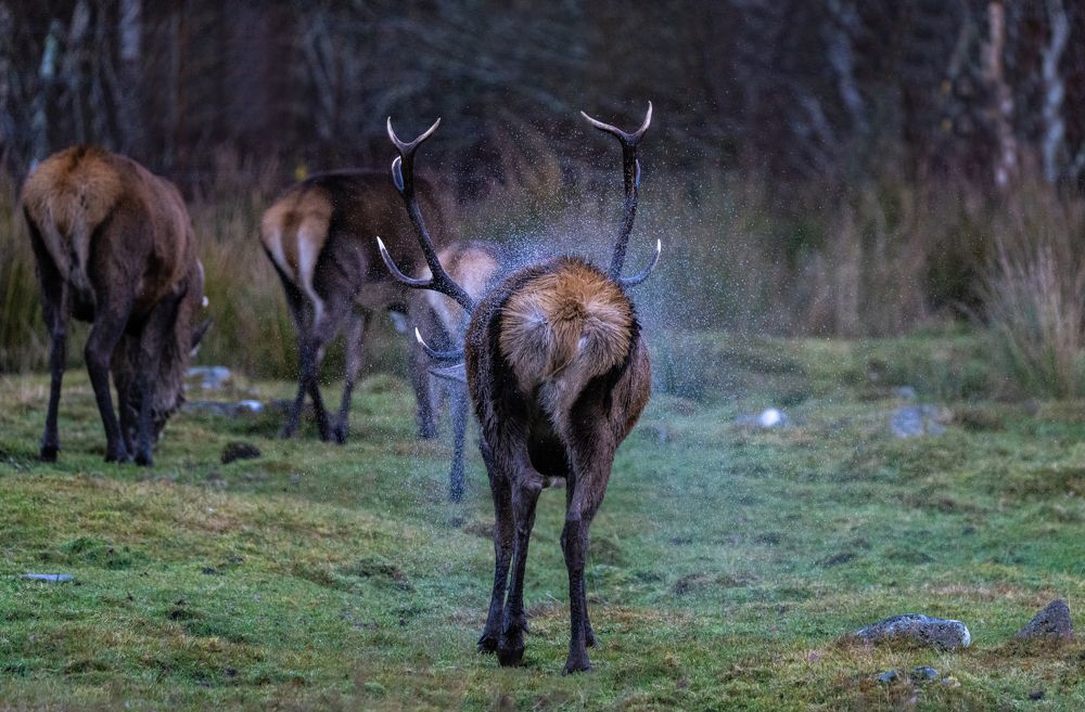 Photograph by Hari Kumar