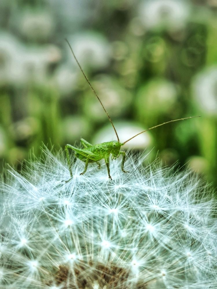 Photograph by Андрей Тур