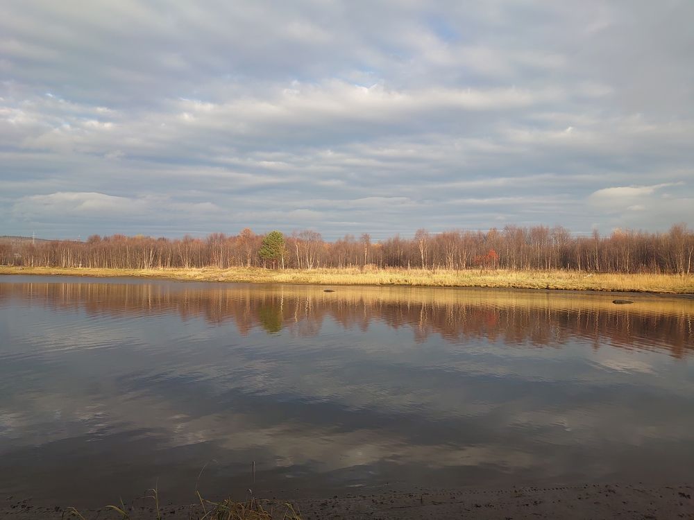 Photo #6172217