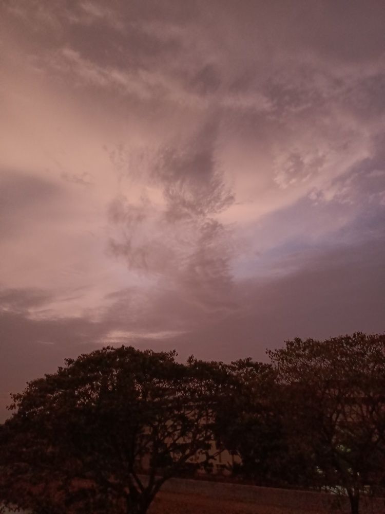 Photo #6172278
