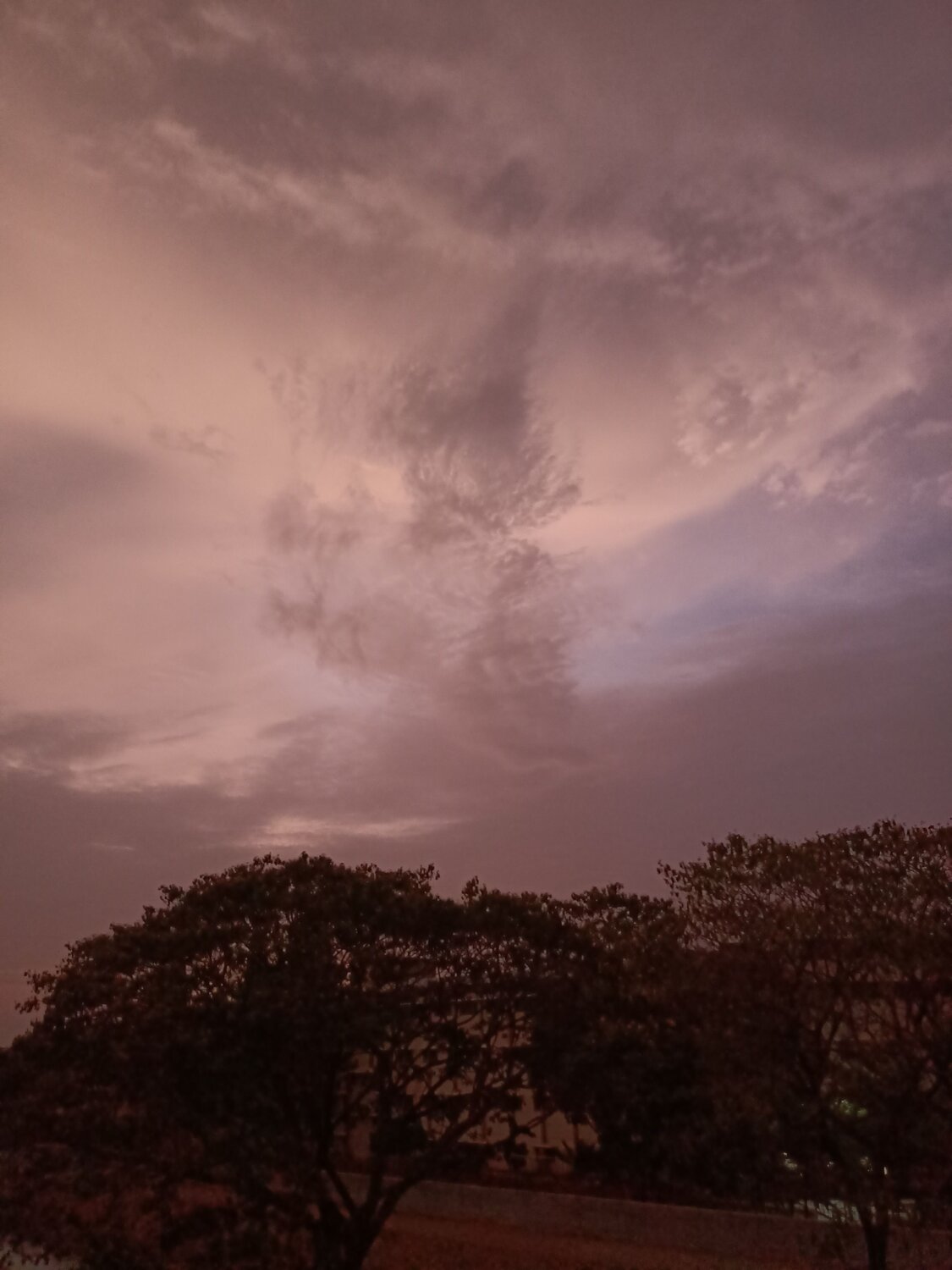 Photo #6172278