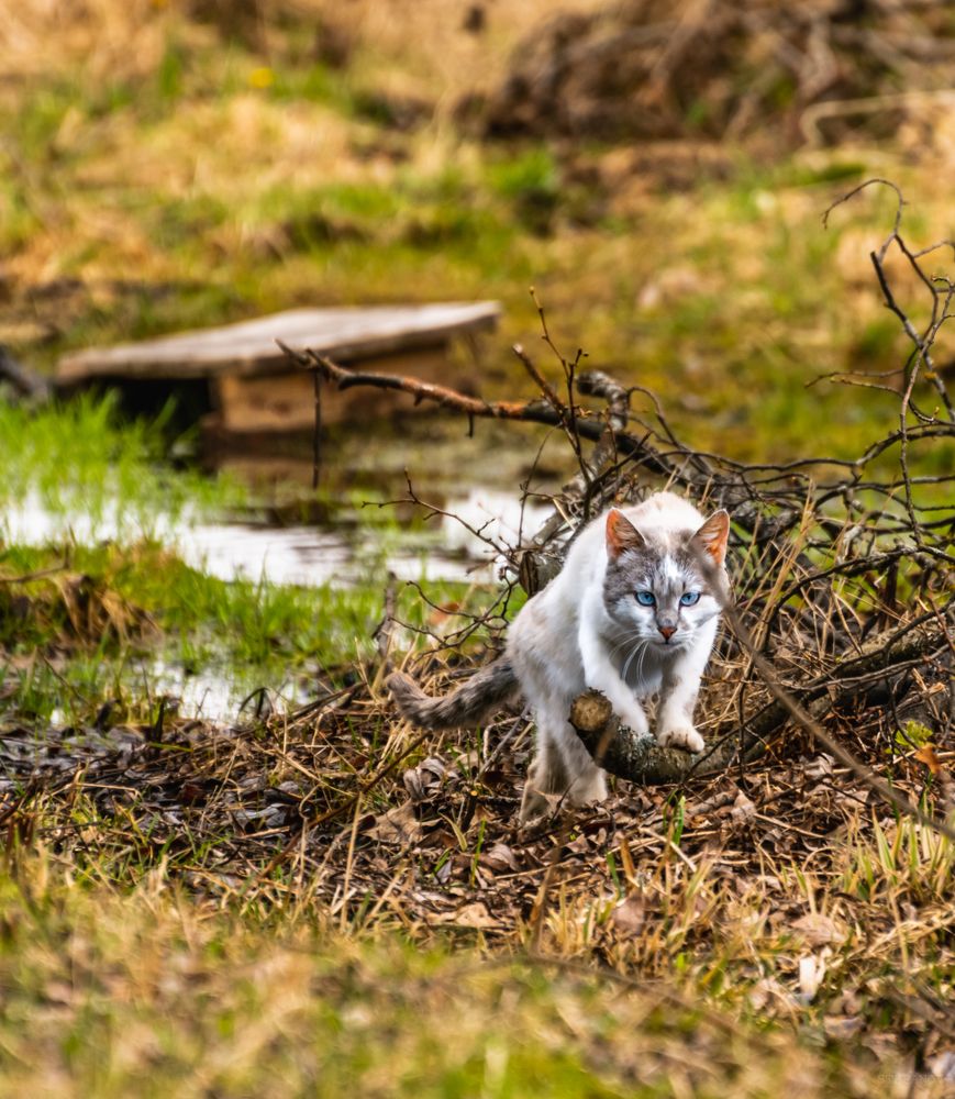 Photograph by Виктор Степанов