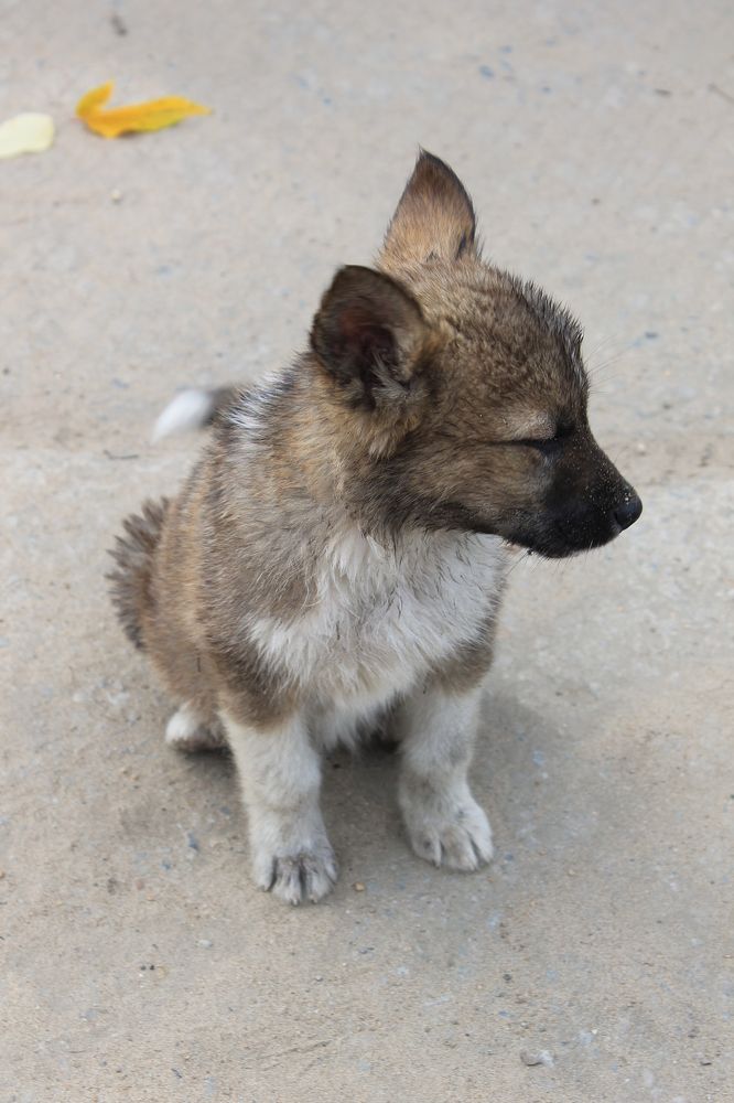 Photograph by Денис Птюшкин