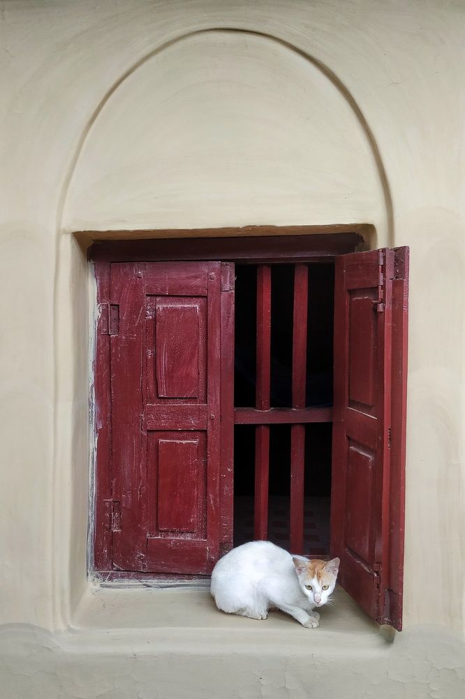 Фотография автора Avijit Datta