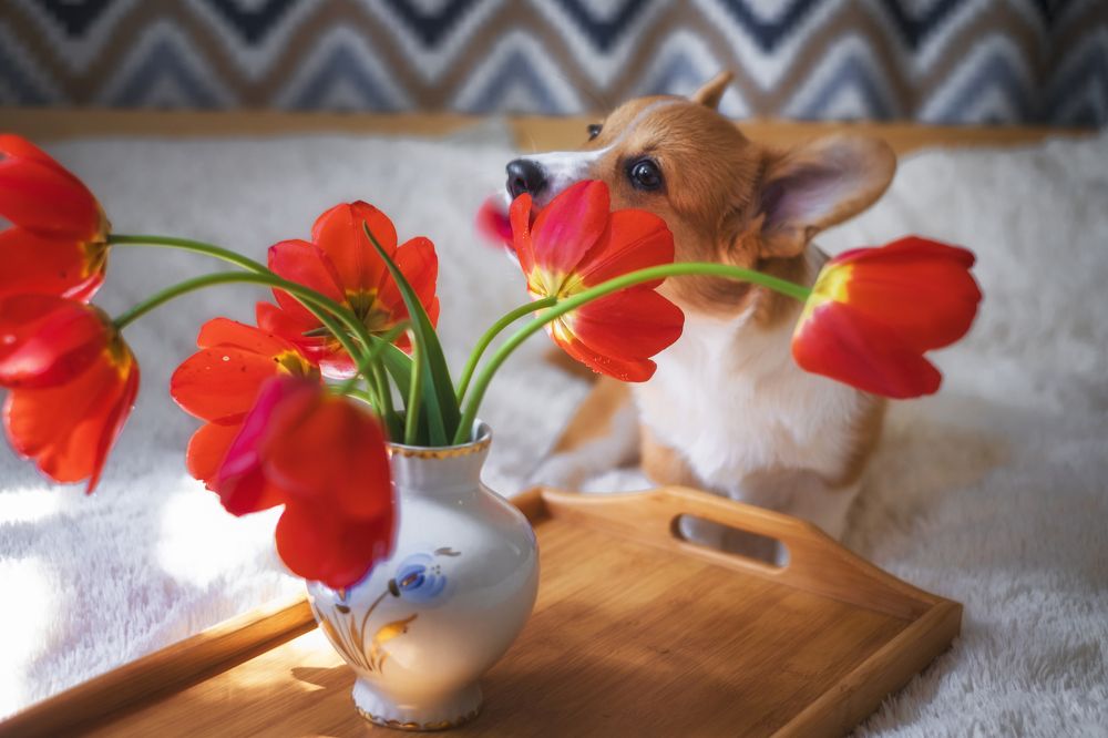 Photograph by Светлана Краюшкина