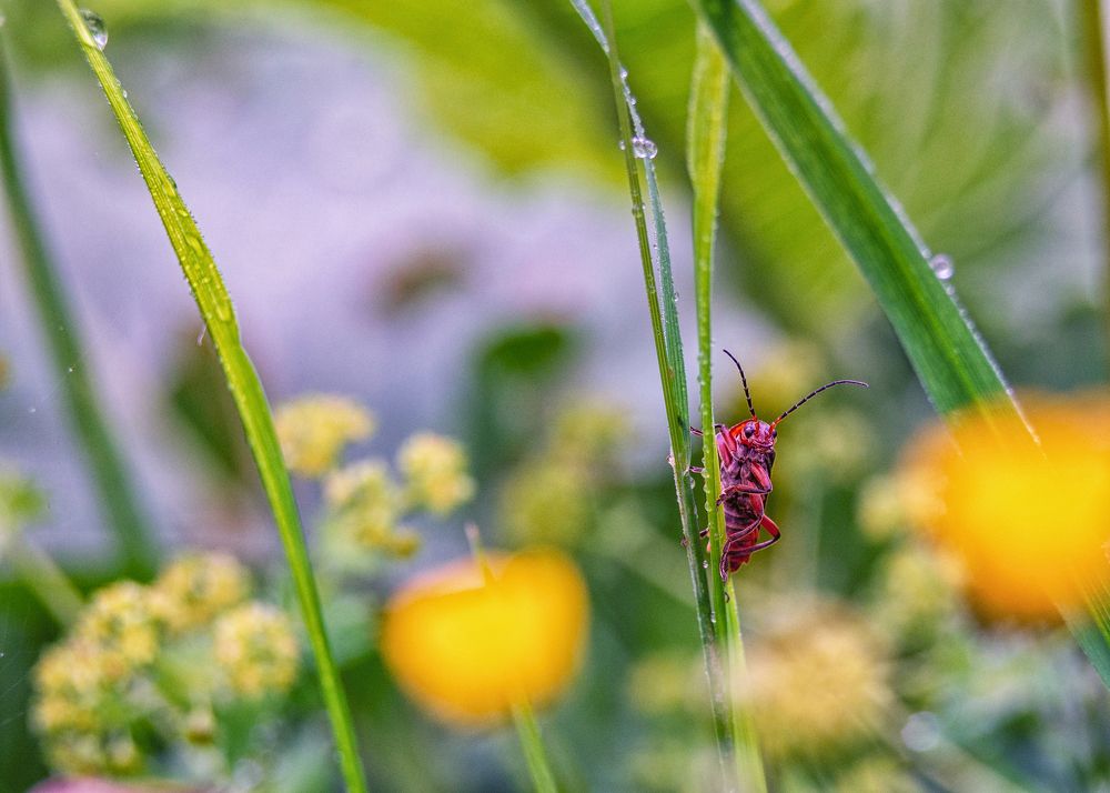 Фотография автора владимир шаронов