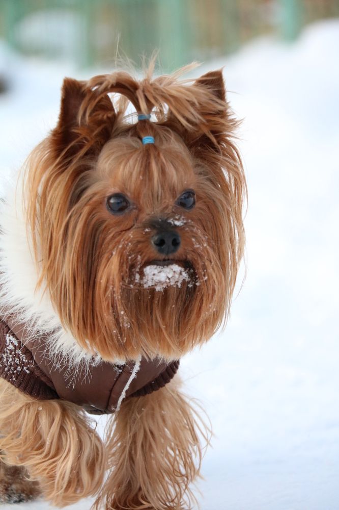 Photograph by Kseniya Panova