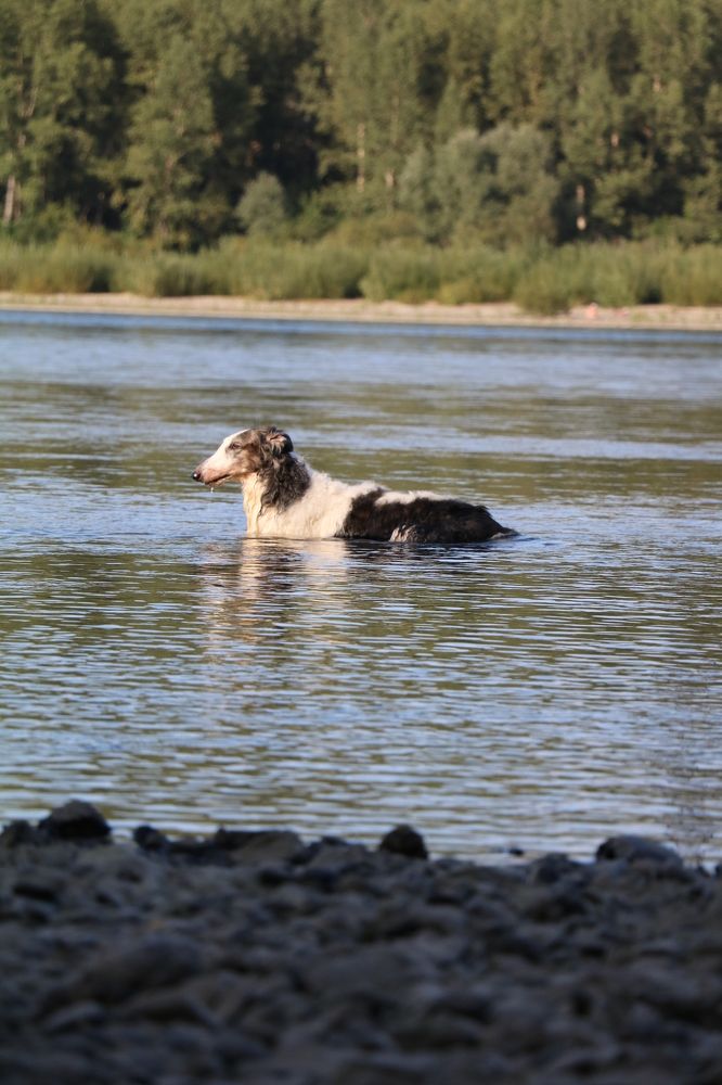 Photograph by Kseniya Panova