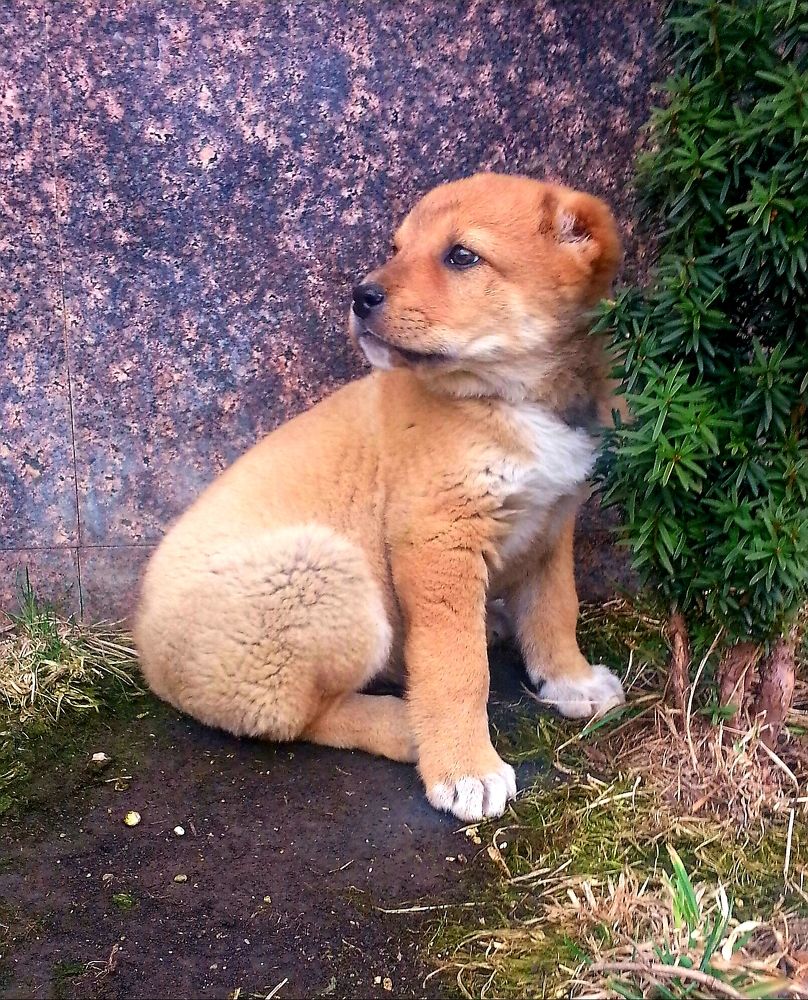 Photograph by Рафаил Манафов