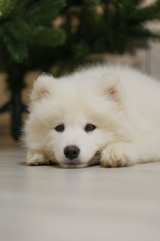 Photograph by  Максим