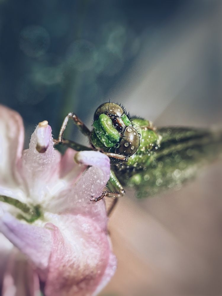 Photograph by Шумилина Марьяна