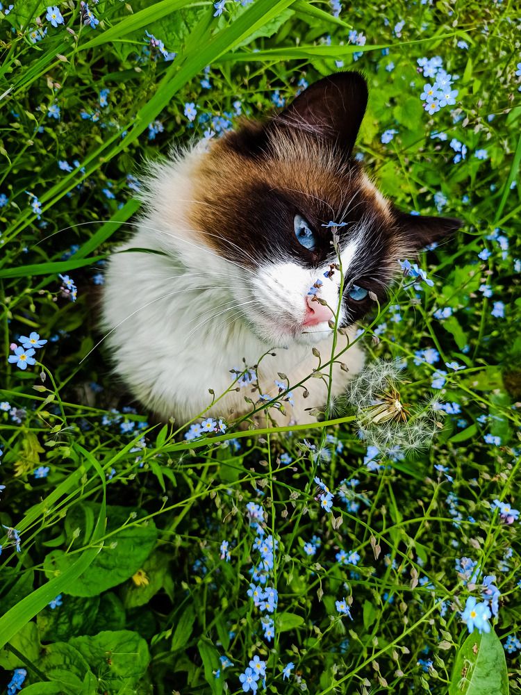 Photograph by Наталия Бровкина