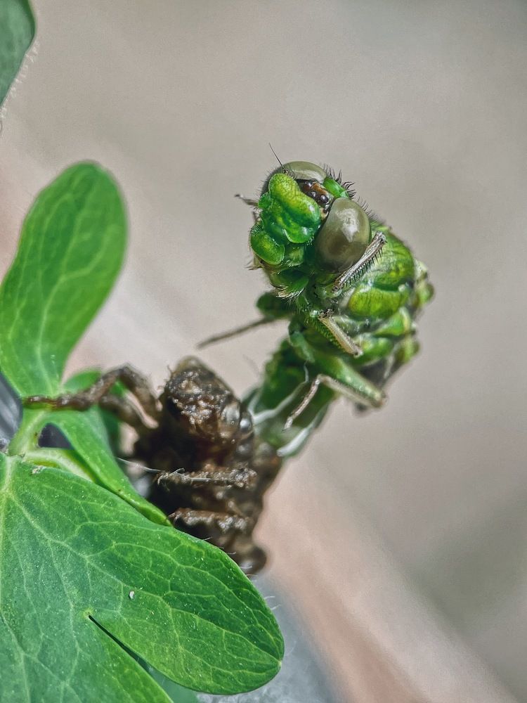 Photograph by Шумилина Марьяна