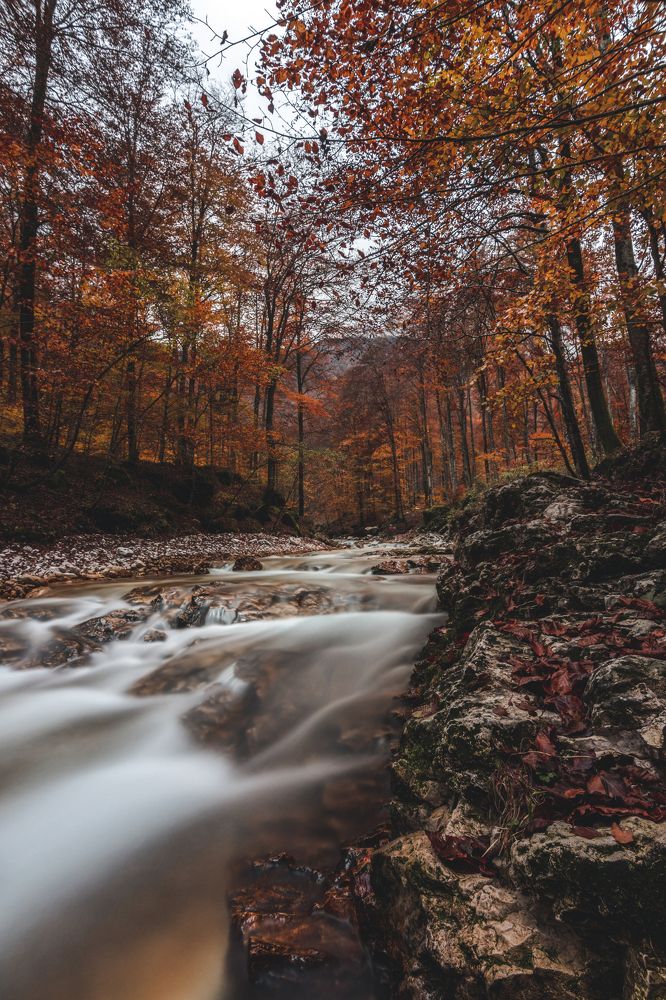 Photograph by Giulia Angelica Vicenzino