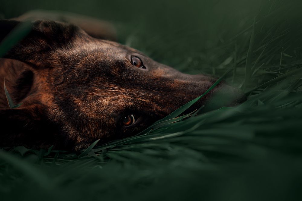 Photograph by Alona Landsman