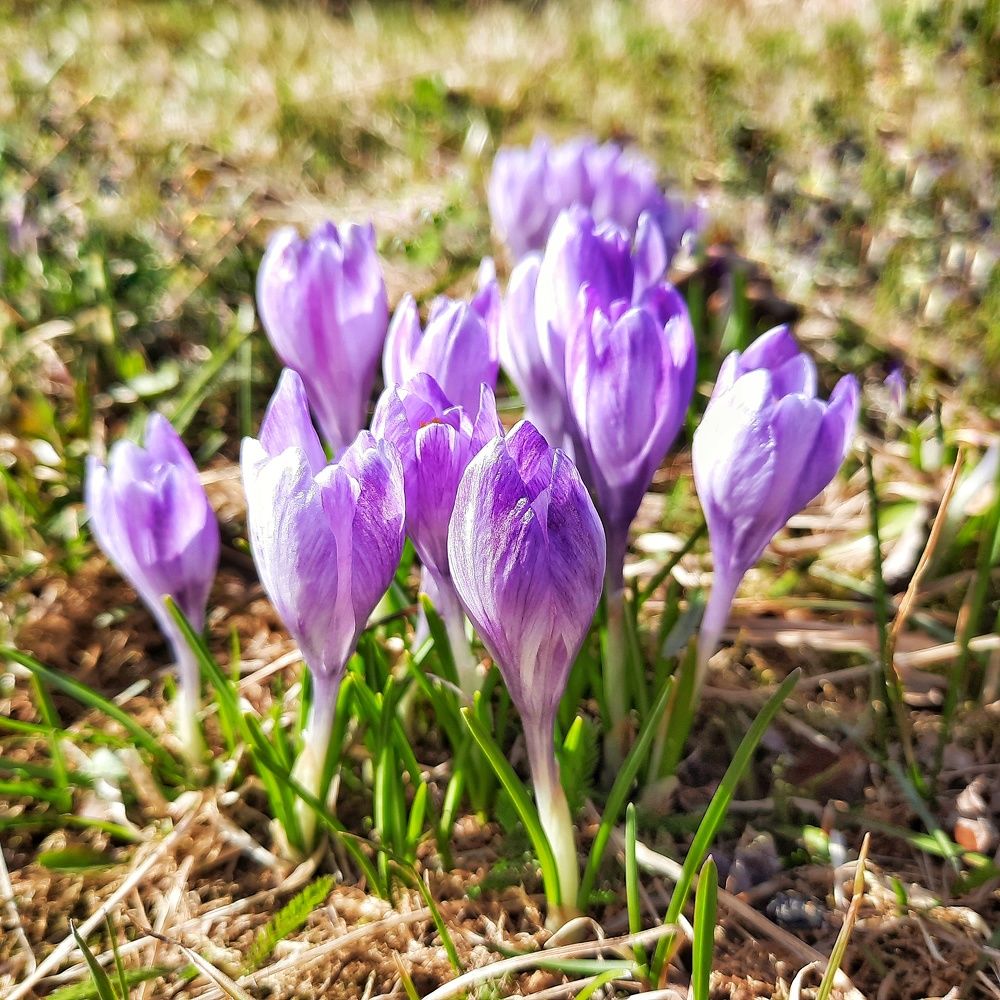 Photograph by Ольга Шаньгина