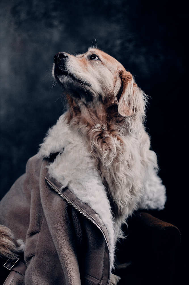 Photograph by Оксана Ефименко