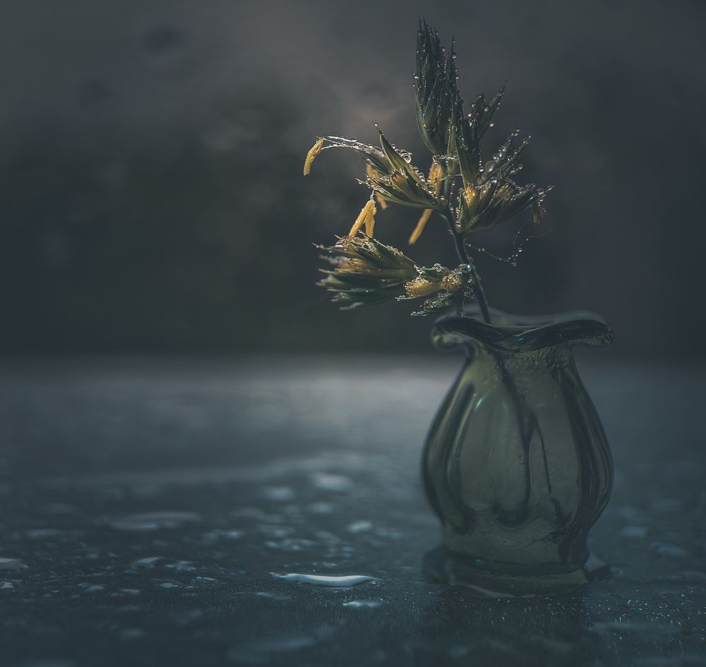 Дождливый день.