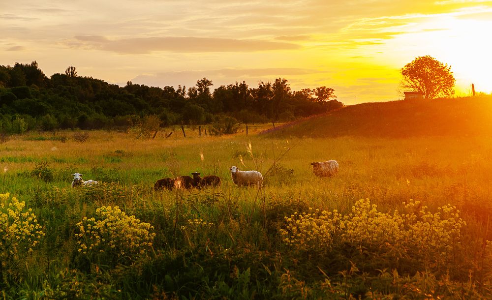 Photograph by Михаил Фенелонов