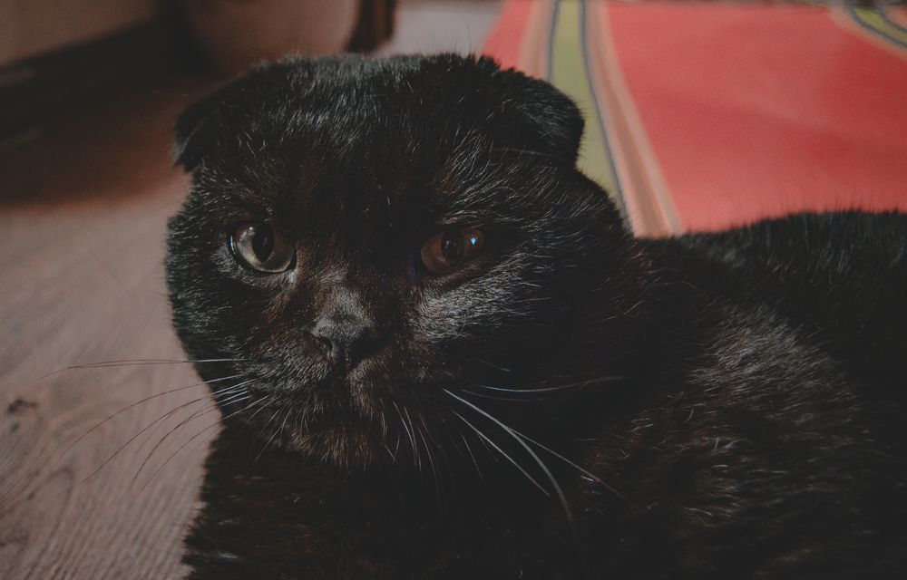 Photograph by Виталий Дрынов