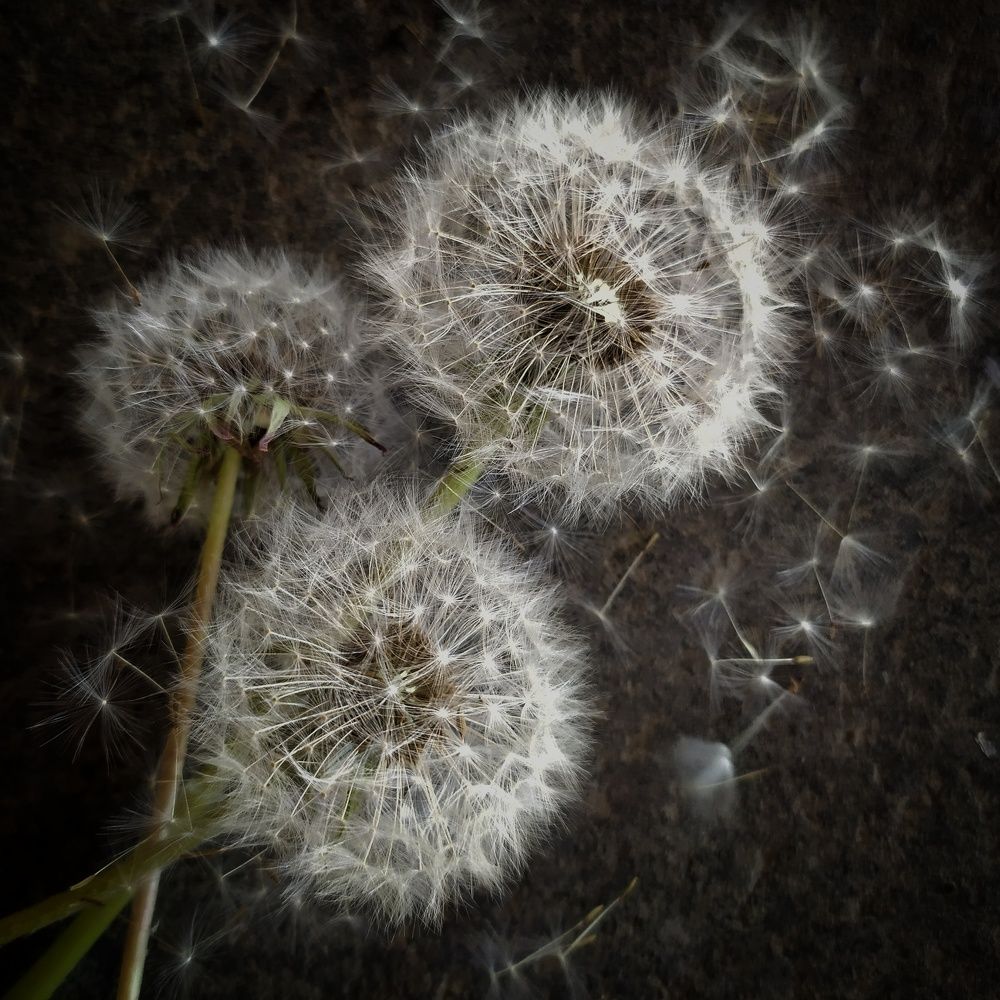 Photograph by Елена Павлова