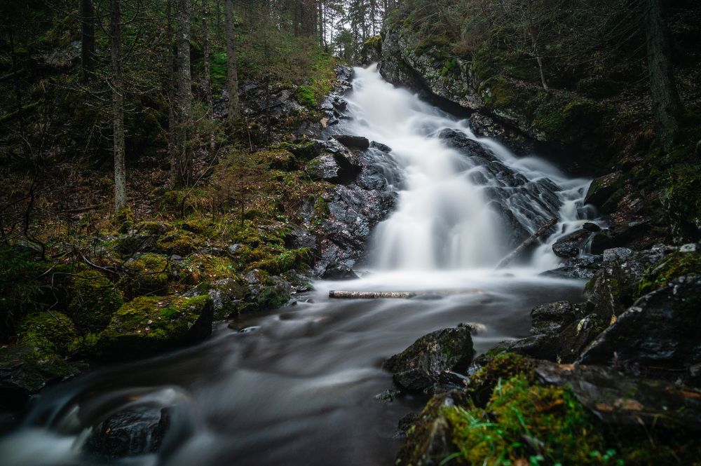 Photograph by Артем Ильин