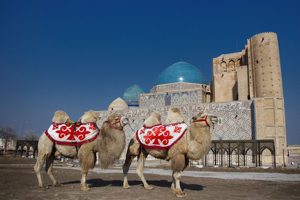 Photograph by Амиров Марат