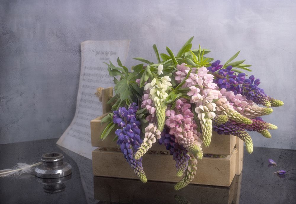 Photograph by Tatiana Kravchuk