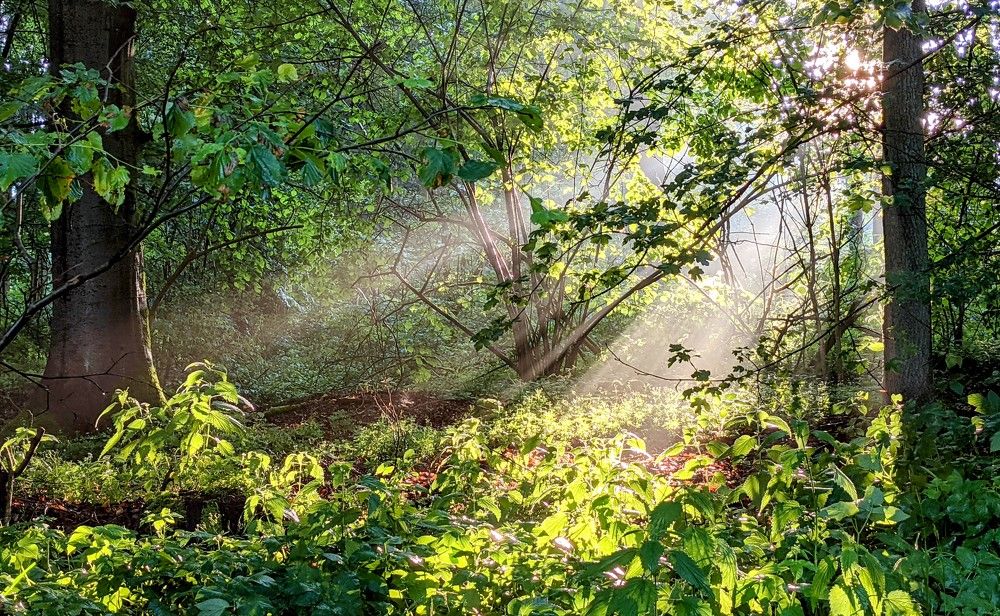 Photograph by Patrick Zeller