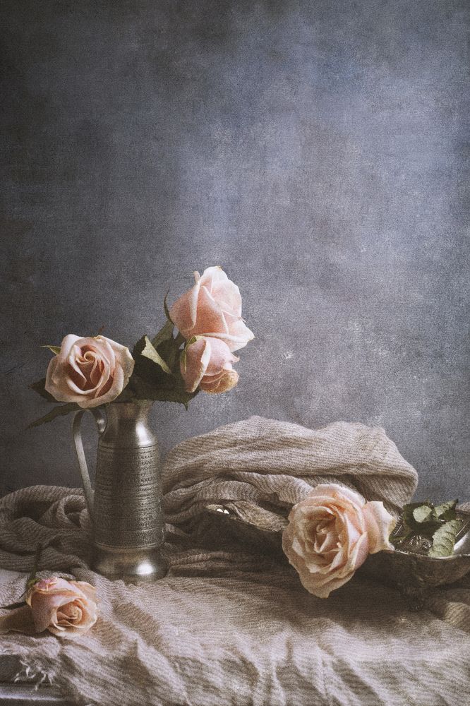 Photograph by Tatiana Kravchuk