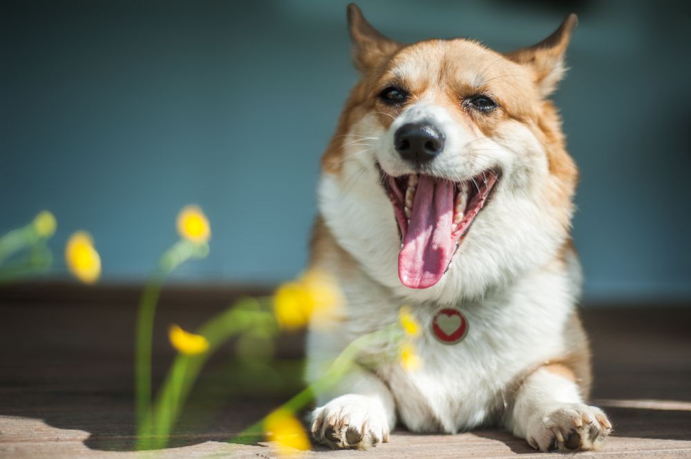 Фотография автора Анна Кирьякова