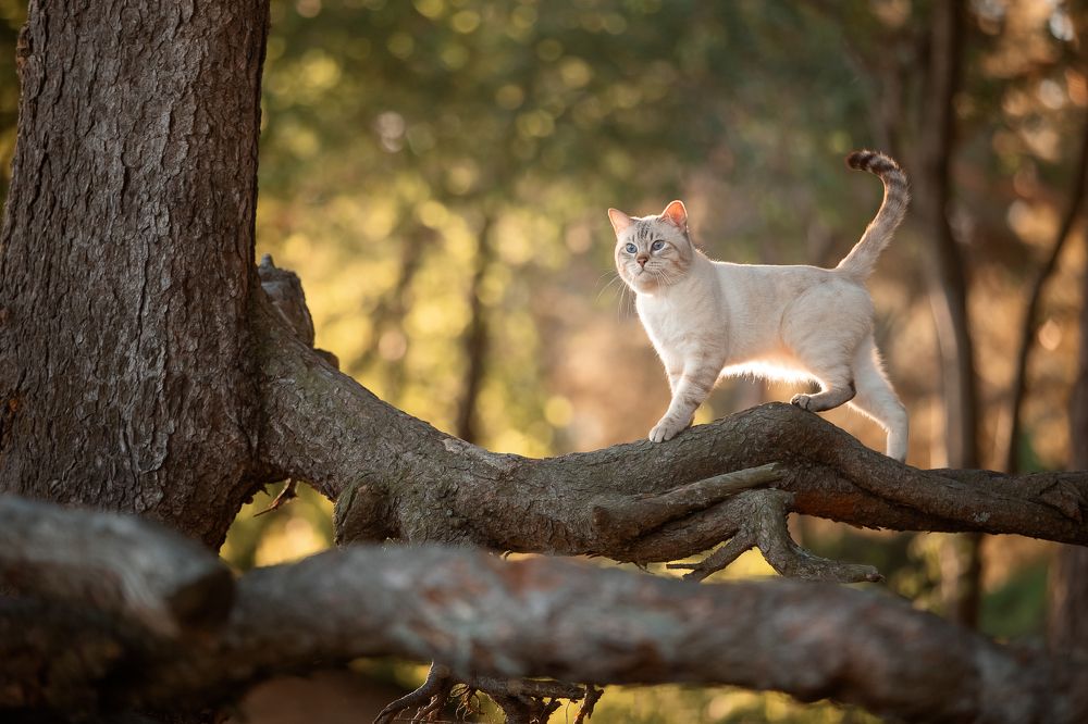 Photograph by Светлана Федоренко
