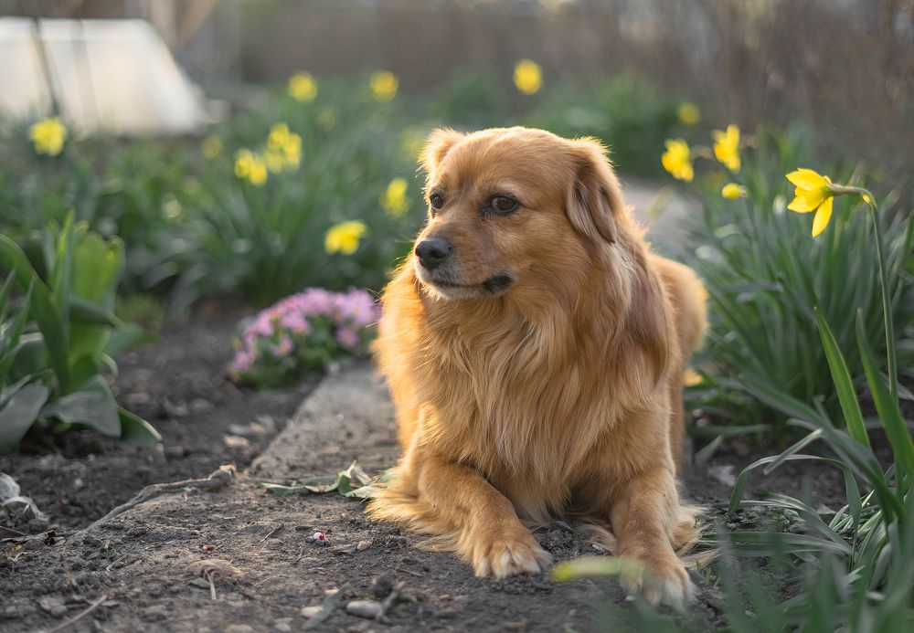 Photograph by Ирина Умиленко