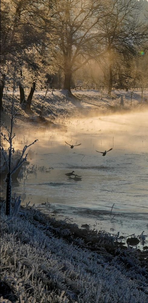 Photograph by Reinhold Seibel