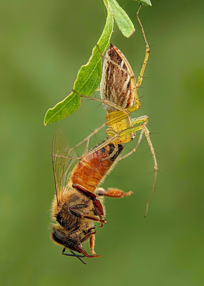 Фотография автора ISLAM SK RIYAJUL