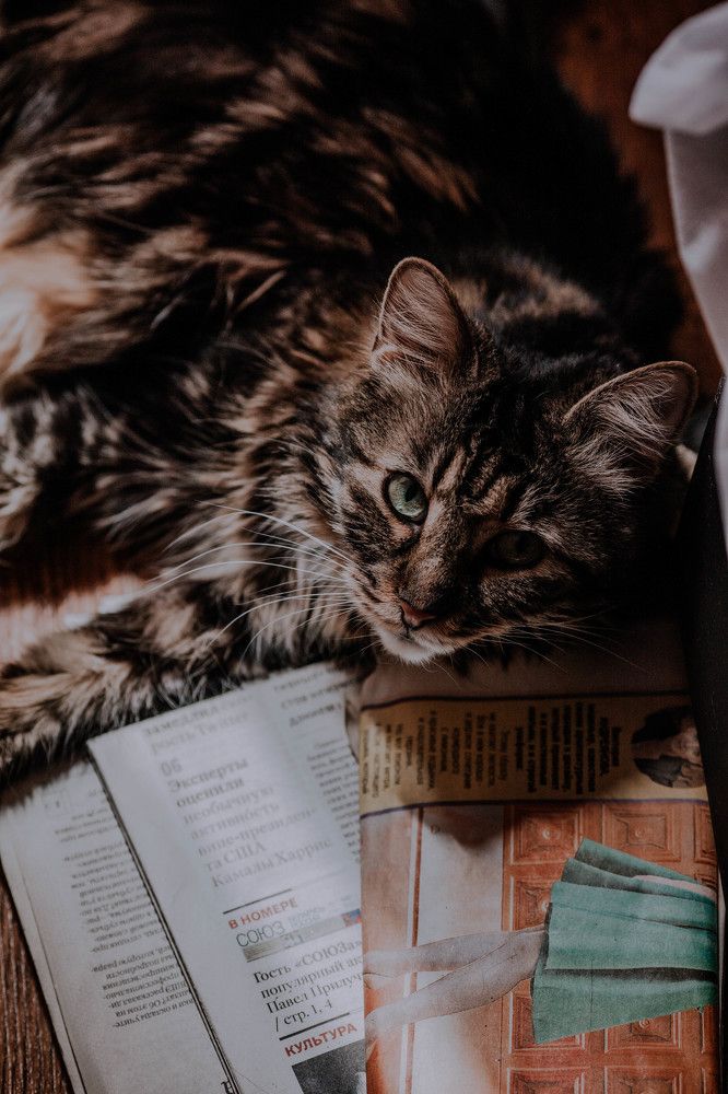 Photograph by Олеся Колитченко