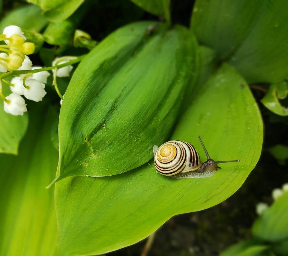 Photograph by Мария Прокопенко