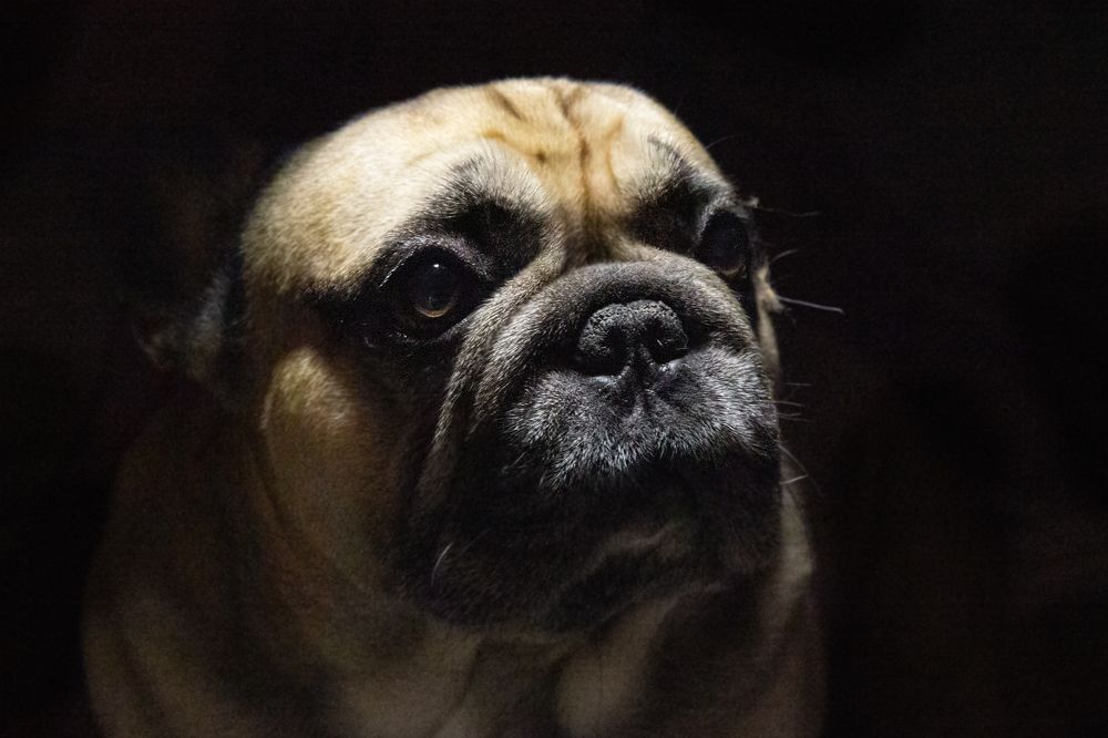 Photograph by Алена Морозова