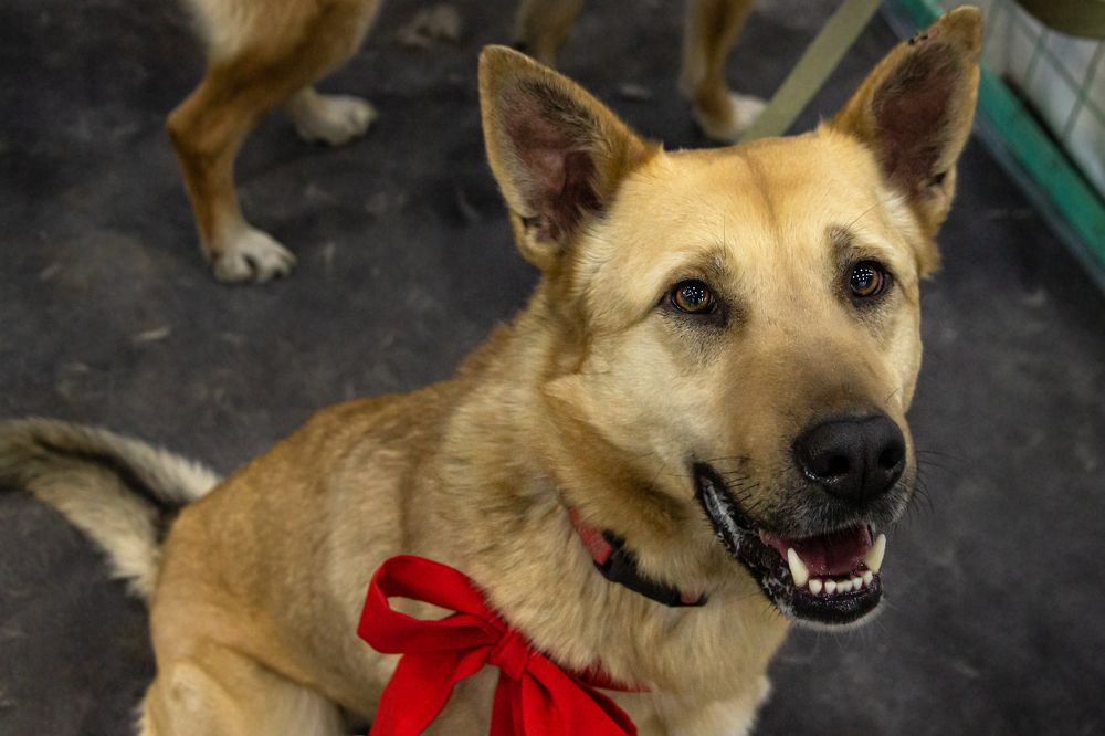 Photograph by Алена Морозова