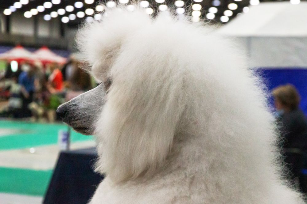 Photograph by Алена Морозова