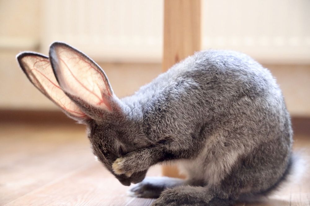 Photograph by Dmitriy Marchenko