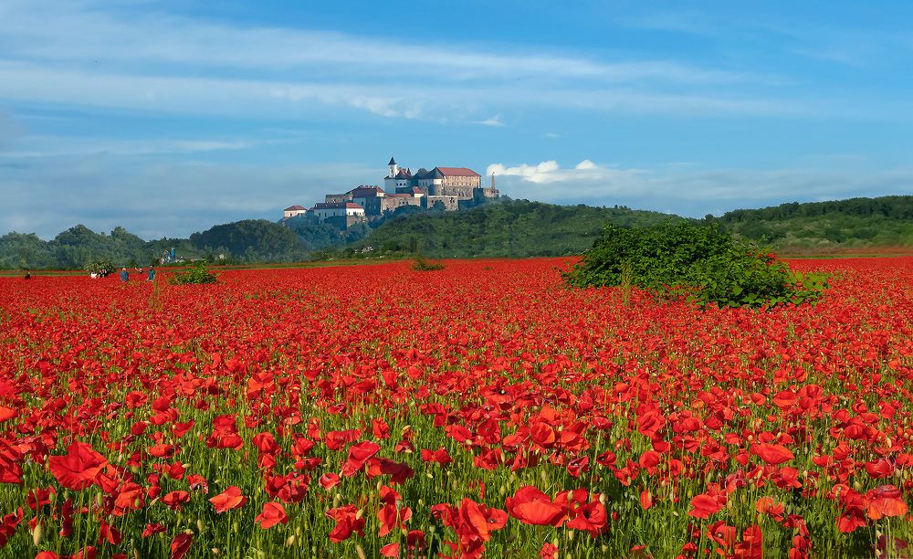 Photograph by Юрий Крилівець
